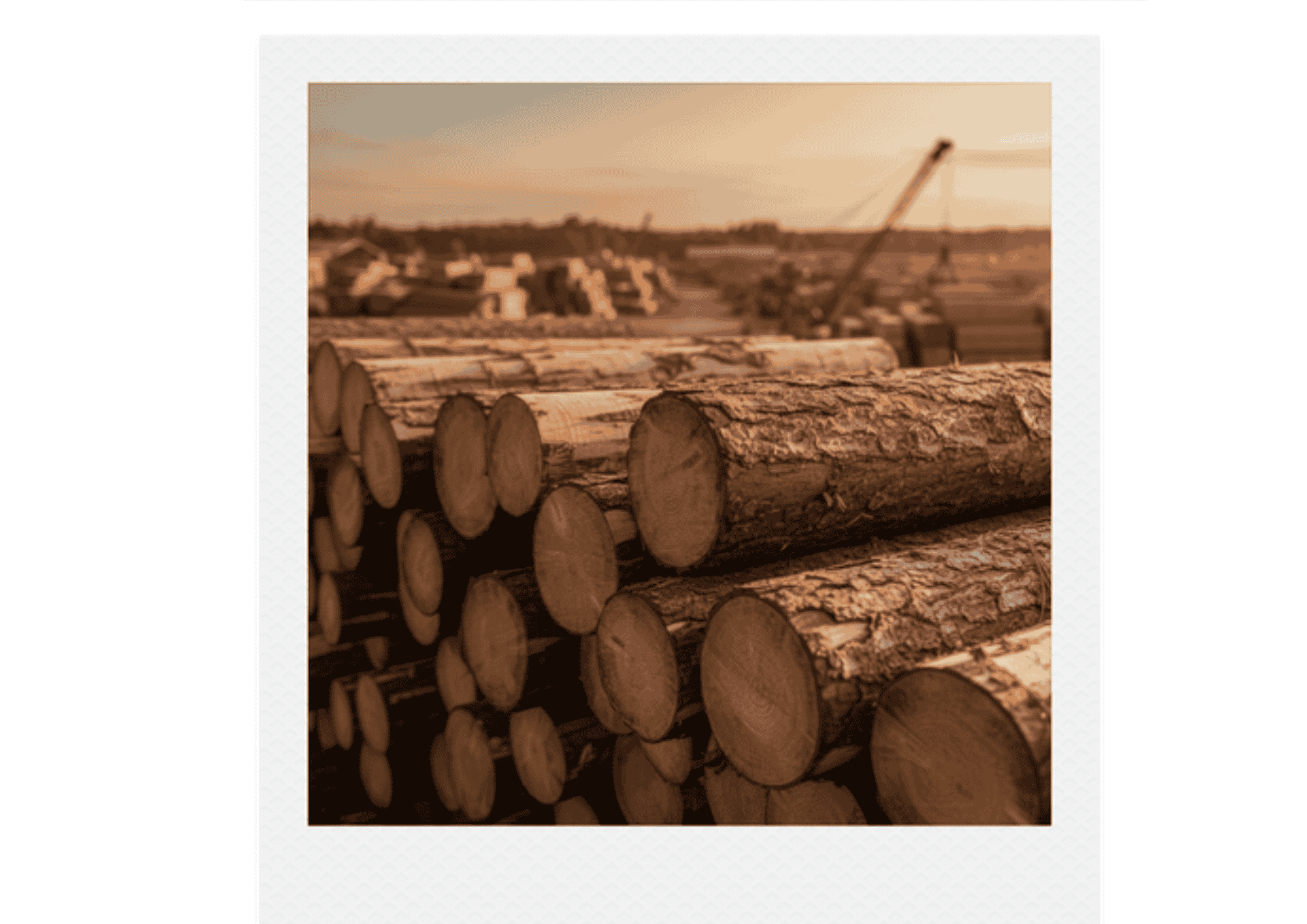 Material Selection